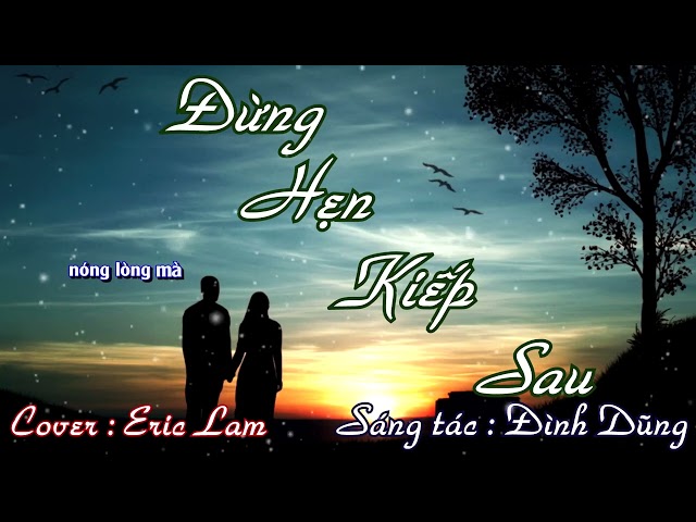 Đừng Hẹn Kiếp Sau - Đình Dũng | Eric Lam COVER | Video LYRIC class=