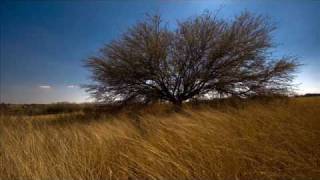 carlos y jose-tierra sin nombre