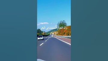 #سورة_الرحمن #اكسبلور #القزابري #تيك_توك #المصحف #دويتو #الرحمن #لايك #ترند #duet #في