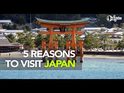 5 Reasons To Visit Japan | Curly Tales