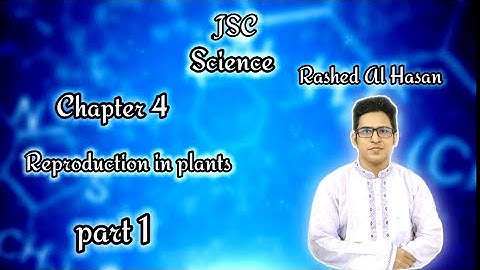 JSC Science Chapter-4 For English Version Part-1  Online class