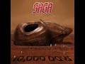 Saga 2007 (a) 10,000 Days (2017 fan re-EQ)