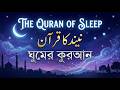 Beautiful Quran Soothing Recitation | Relaxation Deep Sleep Stress relief
