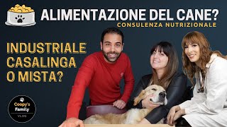 Quale alimentazione scegliere per il nostro cane? Consulenza nutrizionale!