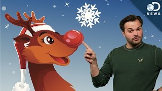 Why Does Rudolph Have A Red Nose? Why Does Rudolph Have A Red Nose?