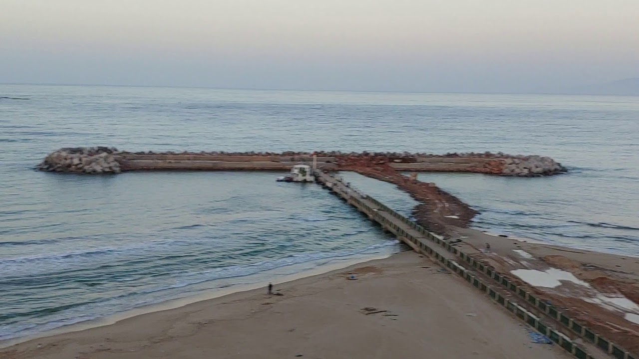 Cap Falcon Detresse Ecologique