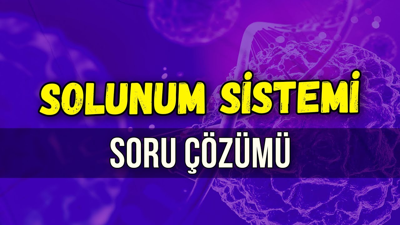 SOLUNUM SİSTEMİ SORU ÇÖZÜMÜ | Seda Hoca Biyoloji 🧬#ayt2024