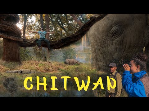 JUNGLE WALKING SAFARI | Chitwan National Park | Nepal🇳🇵Travel Vlog 008