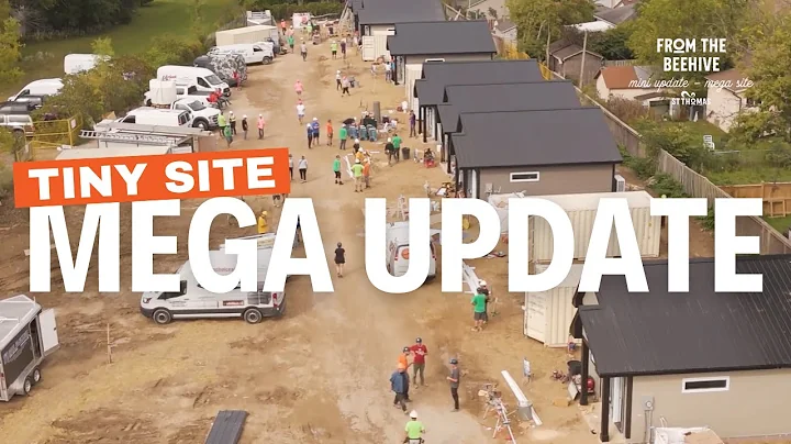 From The Beehive E65 Tiny Hope Update