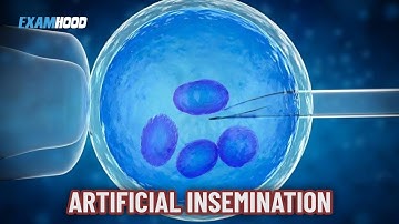 ARTIFICIAL INSEMINATION