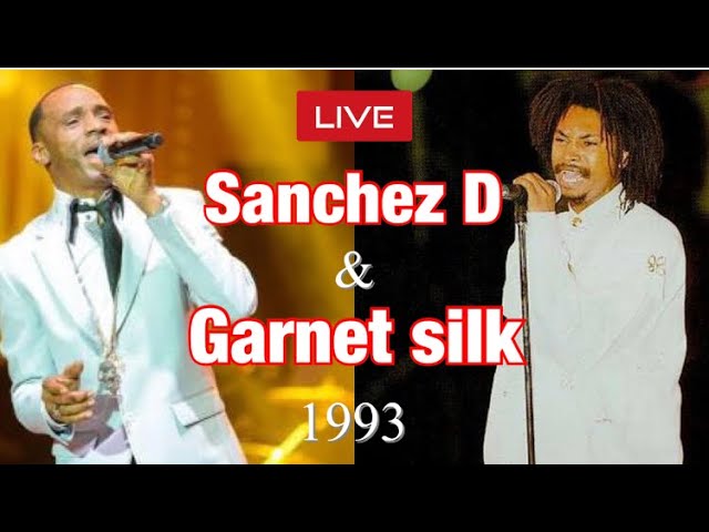 Garnet Silk - Place In Your Heart ( Live 1994 ) - YouTube