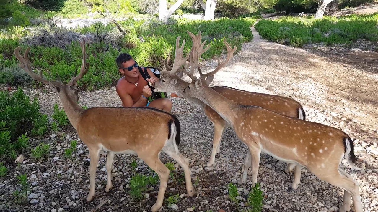 ⁣Sailing Croatia / jadranje Hrvaška otok Grgur