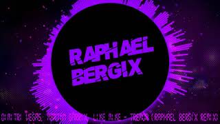 Dimitri Vegas, Martin Garrix, Like Mike - Tremor (Raphael Bergix Remix)