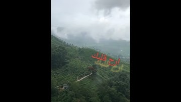 (يس والقرآن الحكيم انك لمن المرسلين) سوره يس تلاوه خاشعه تريح القلوب 🌷🌹❤️