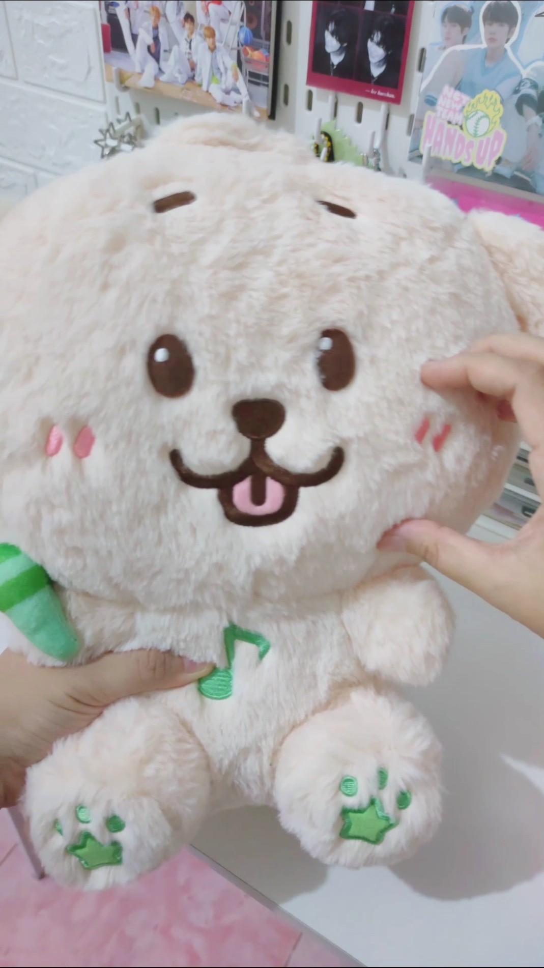 🐶 NCT WISH [30cm Doll Daengtriever] UNBOXING #jaehee #nctwish