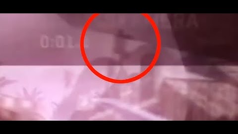 Despize Cams - Episode 38 EXPOSED