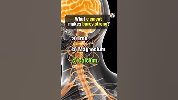 Ultimate Anatomy Quiz Part 10. #anatomyquiz #anatomy #anatomyknowledgequiz #anatomybody