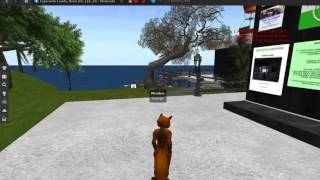 Esperanto-lando en Dua Vivo / Second Life