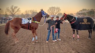 Gran Final Maturity Jefe De Jefes | , Tapias Race Track, Durango Mex.