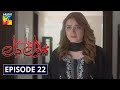 Bhool Jaa Ay Dil Episode 22 HUM TV Drama 15 December 2020