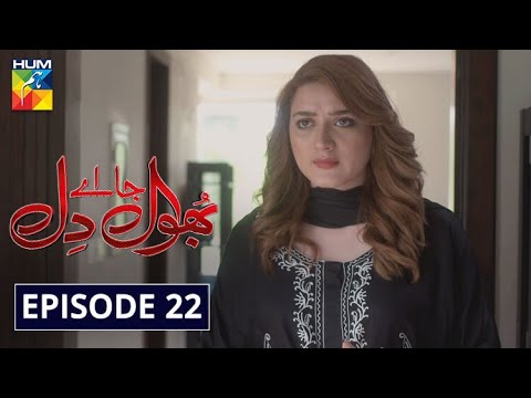Bhool — Episode 22