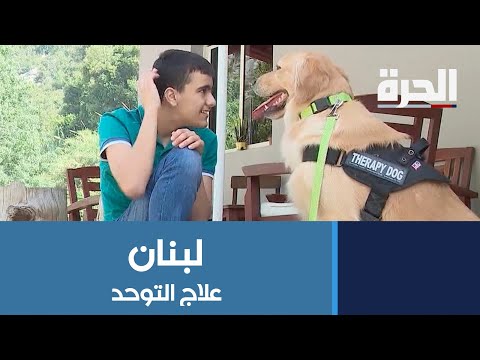 فيديو: الدور الذي تلعبه الحيوانات الأليفة في مساعدة الأطفال المصابين بالتوحد