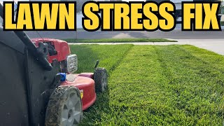 How I Fix My Lawn with Liquid Lawn Fertilizer – Best Lawn Care Tips