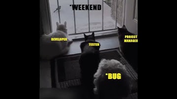 Developer, Tester and Project Manager 😂 #developermemes #codingmemes #tester #Programmingmemes