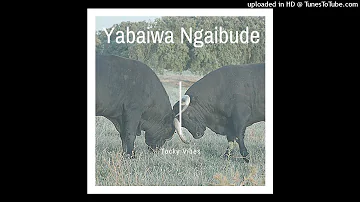 Tocky Vibes - Yabaiwa ngaabude (Mount Zion Records)