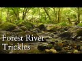 Trickling Water Sounds for Sleep - 10HRS of Bliss