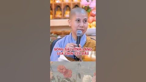 SÔNG SÂU TĨNH LẶNG- LÚA CHÍN CÚI ĐẦU | S C. Giác Lệ Hiếu #shorts