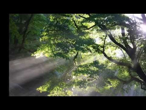 Over the rain ～ひかりの橋～ / flumpool       cover・aki