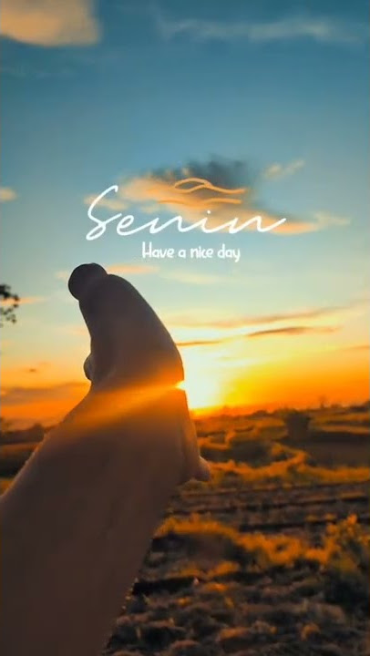 story wa pagi senin #shorts
