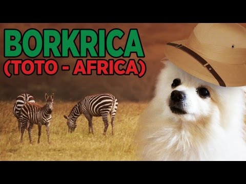 Borkrica [Toto]