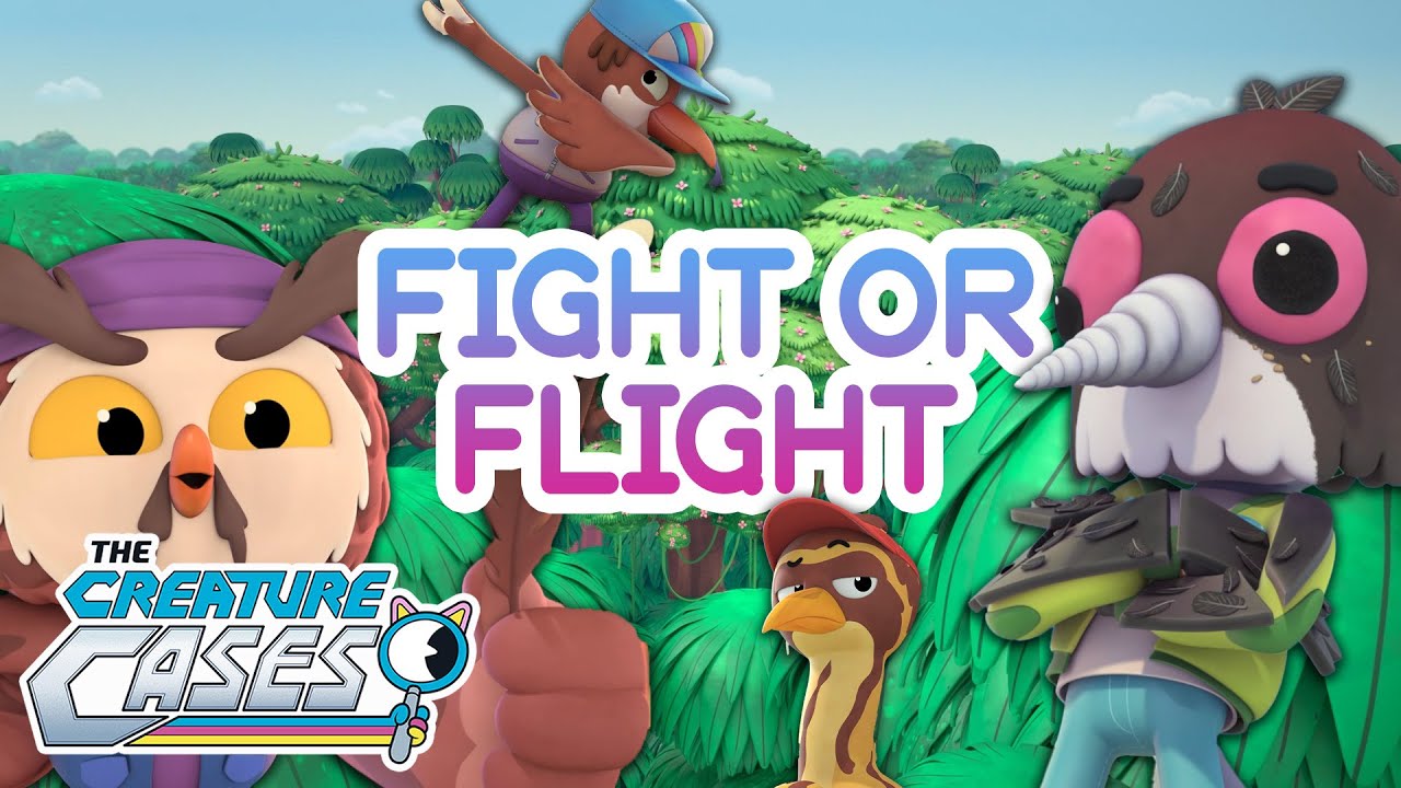 ‪@CreatureCases‬