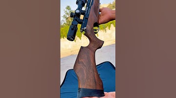 BSA R10 Air Rifle #pcphunters #airgun