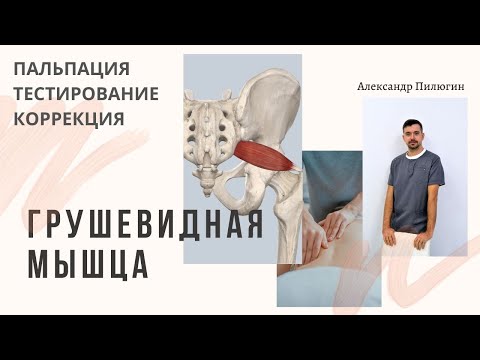 Грушевидная мышца. Пальпация, тестирование, коррекция. Прикладная кинезиология.