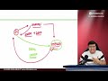 CA Foundation Law | Indian Contract Act 1872 Unit 7 | One shot Revision | Indresh Gandhi