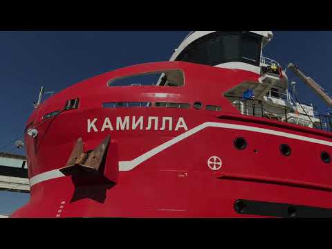 Видео: Fortnite викинг кораб, камила и катастрофираха биткойни на автобус