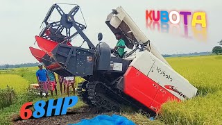 Kubota harvester | deep mud working 🔥 new harvesting video