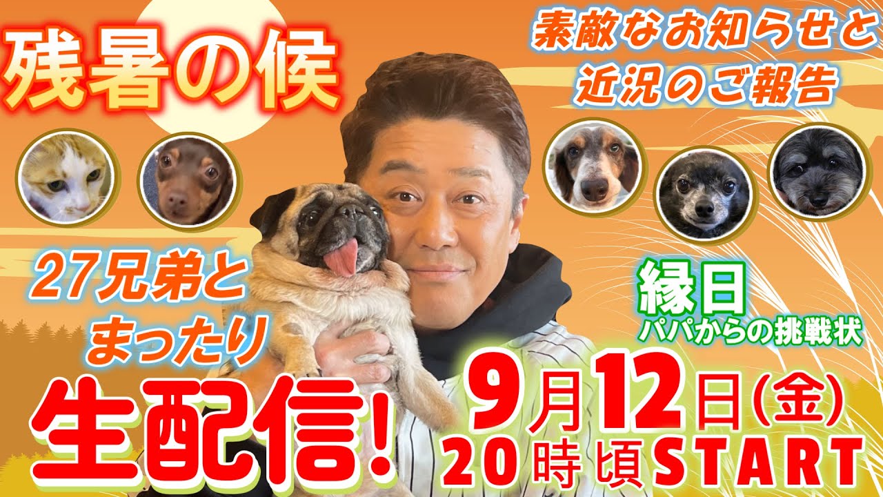 【生配信その①】坂上パパの左肩の怪我のお話。途中で配信が止まってしまいすみません!