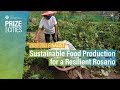 Sustainable food production for a resilient rosario  prize for cities 20202021