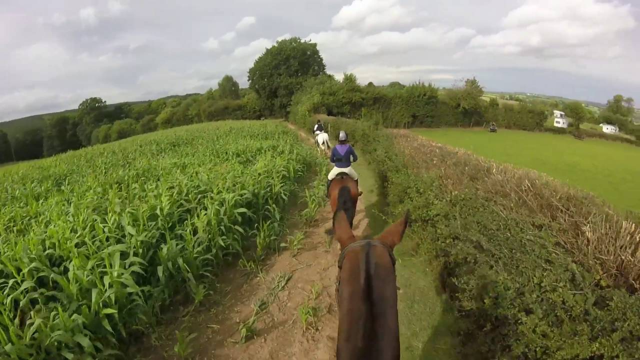Simulated Hunt Ride at Bank Farm Bewdley
