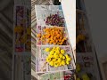 Celebrating Onam 2025| Pookalam, Sadya & Festive Celebrations