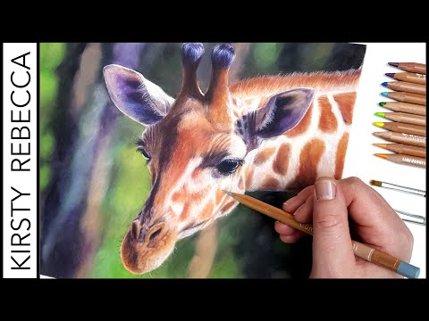 How to Draw This VIBRANT Giraffe using COLOURED PENCIL! // Useful Tips for Blending & Layering!