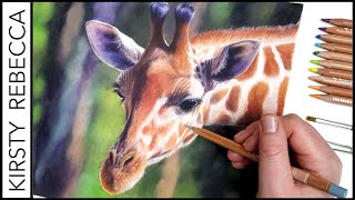 How to Draw This VIBRANT Giraffe using COLOURED PENCIL! // Useful Tips for Blending &amp; Layering!