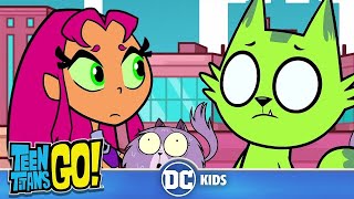 Teen Titans Go! Россия | Лучшие эпизоды с кошками!  | DC Kids
