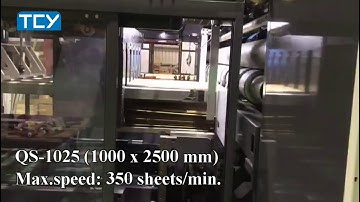 TCY Flexo 1025 Speed 350