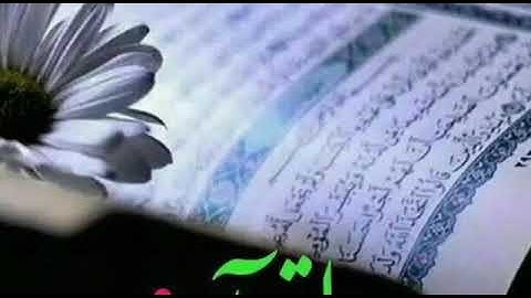 تلاوة سورة البقرة ١١٥ ولله المشرق جمال القرش