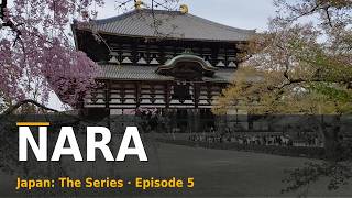 Full Things to Do in Nara: Temples, Deer and Forest Walks | Japan: The Series, episode 5 Update